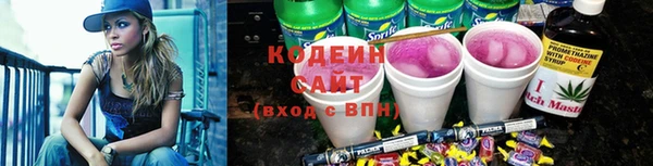 2c-b Инсар