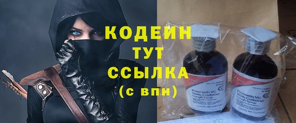 PSILOCYBIN Каменка