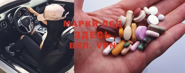 PSILOCYBIN Каменка