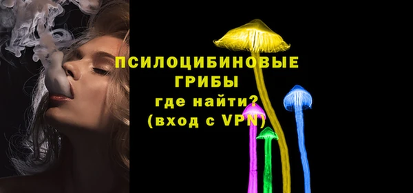 метадон Карпинск