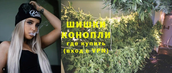 эйфоретик Касимов