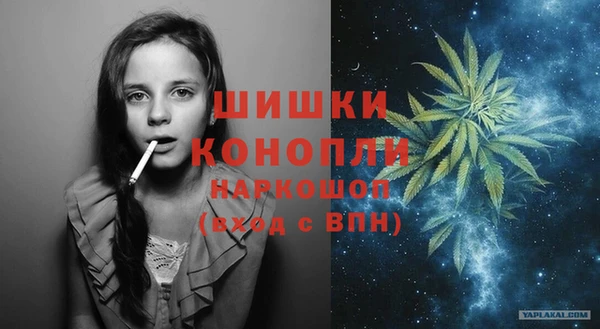 эйфоретик Касимов